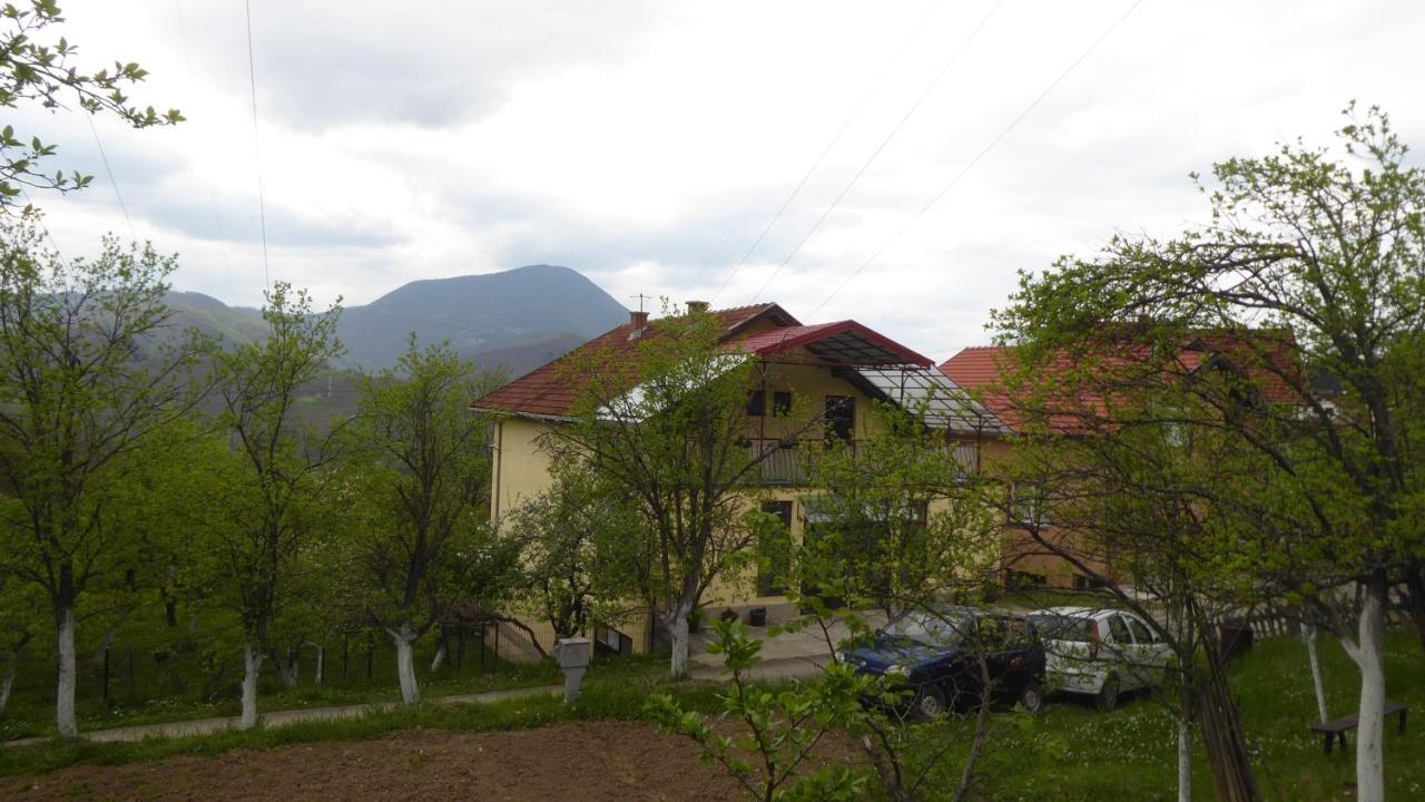Guest House Pribojska Banja Exterior photo