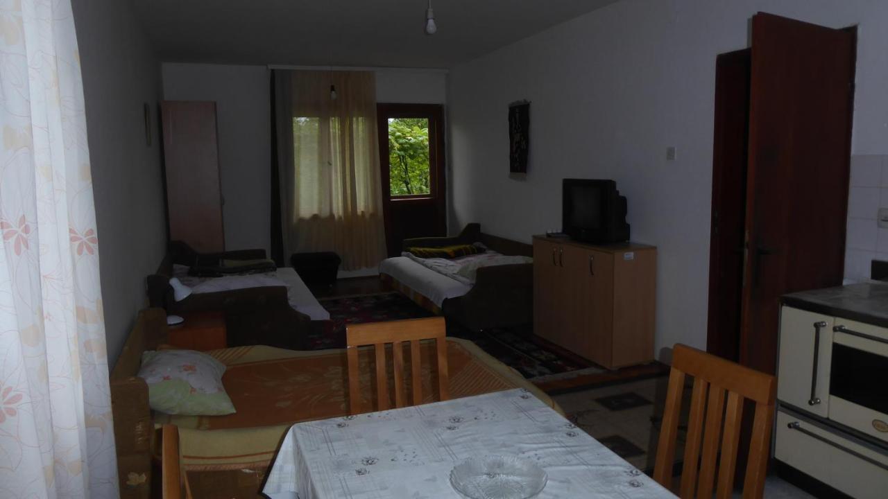 Guest House Pribojska Banja Exterior photo