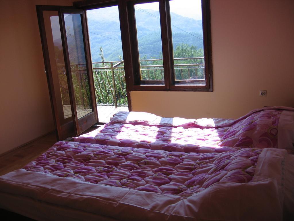 Guest House Pribojska Banja Exterior photo